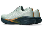 ASICS Tenis Hombre Running NOVABLAST 5 TR
