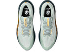 ASICS Tenis Hombre Running NOVABLAST 5 TR