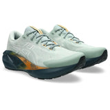 ASICS Tenis Hombre Running NOVABLAST 5  - Nature Bathing / Lichen Rock