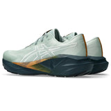 ASICS Tenis Hombre Running NOVABLAST 5  - Nature Bathing / Lichen Rock