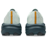 ASICS Tenis Hombre Running NOVABLAST 5  - Nature Bathing / Lichen Rock