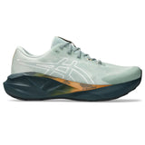 ASICS Tenis Hombre Running NOVABLAST 5  - Nature Bathing / Lichen Rock