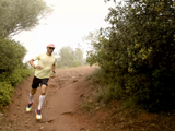 Compressport Trail Racing SS Tshirt Men - Shadow Lime